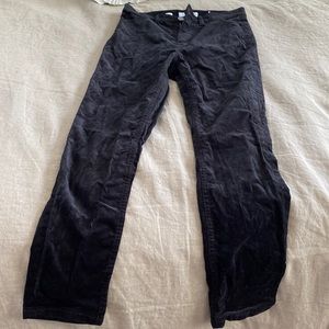 Loft Velvet Jegging Pants, 26P